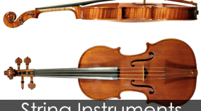 string-instruments